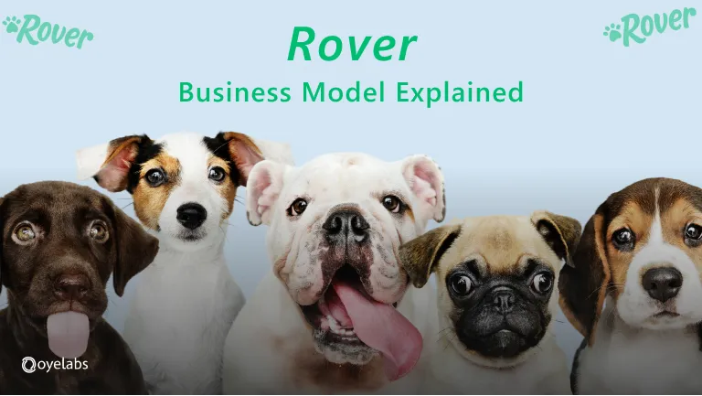 Rover now best sale dog walking