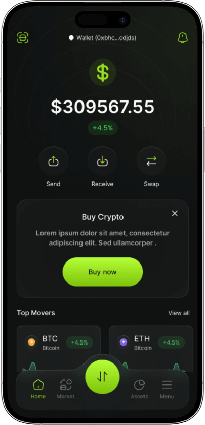 Trust wallet clone current balance screen