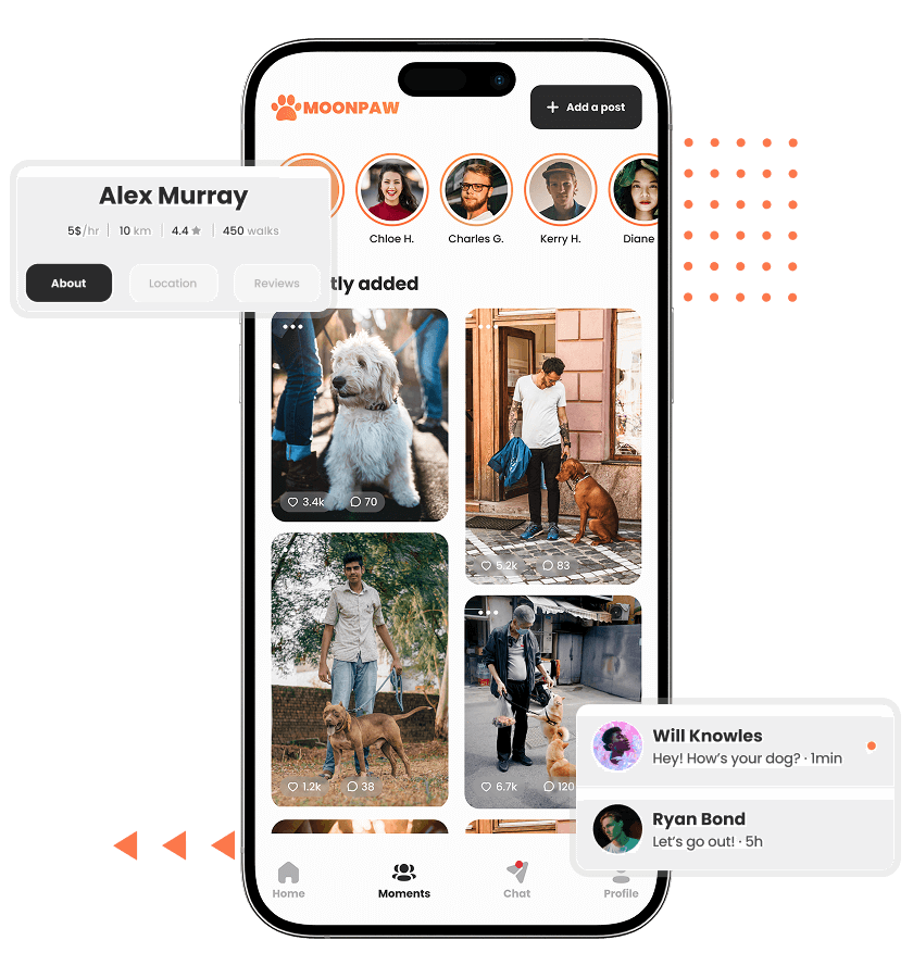 Uber for Dog Walking app short videos, and chat features