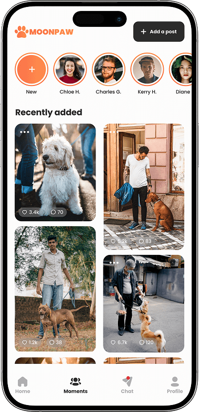 Uber for Dog Walking app short videos screen
