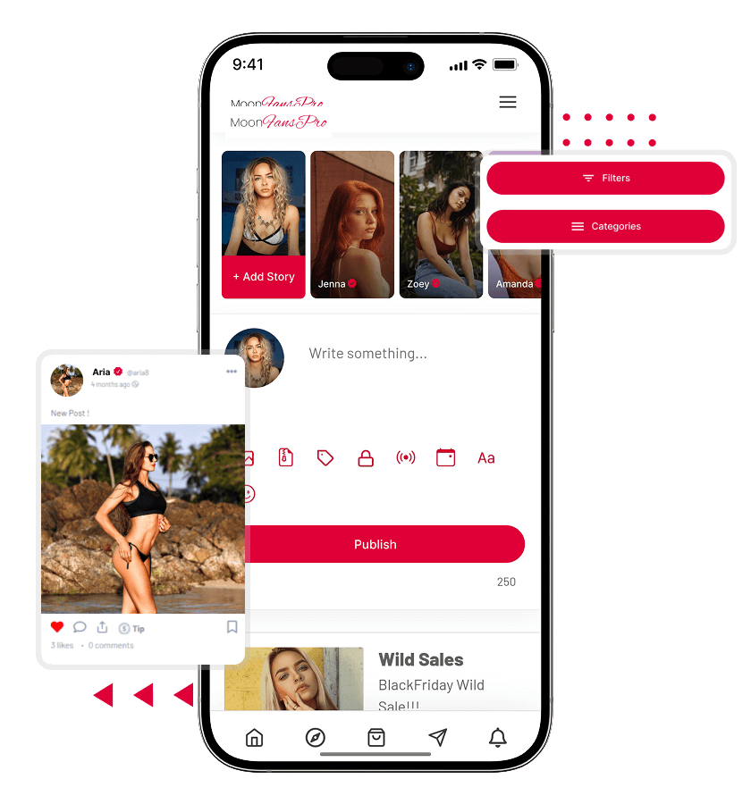 LoyalFans clone post creation, creator stories, and view post features