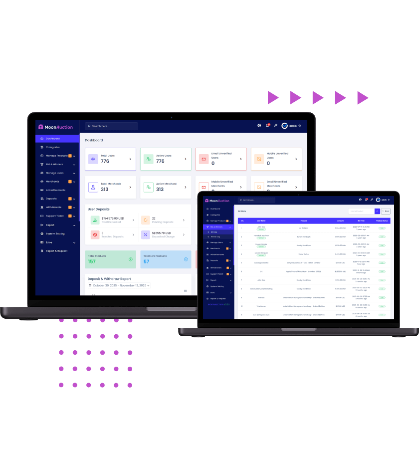 Auction script Admin analytical dashboard and winners list features