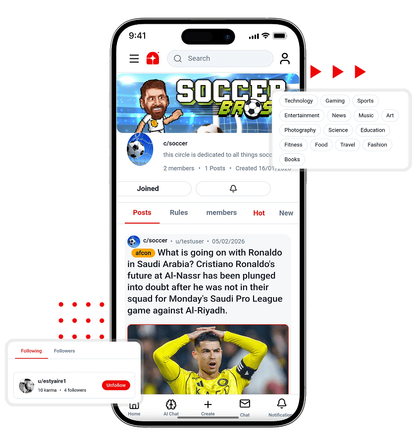 Reddit Clone Community Page and Topic Category Management Features