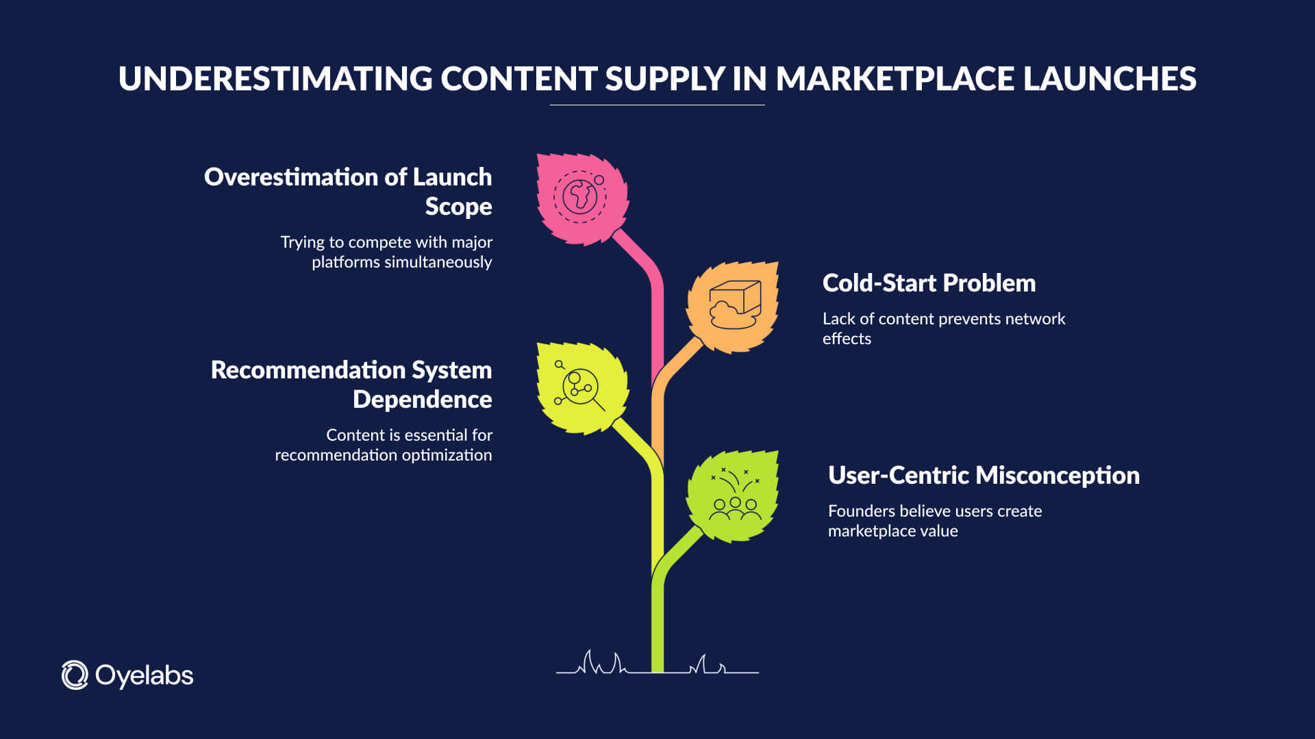 content supply in marketplace launches